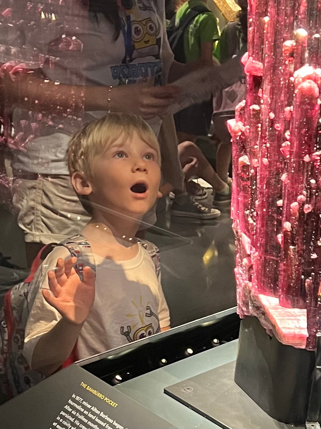 Summer Enrichment Program: PAYMENT PLAN